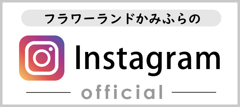 Instagram｜バナー